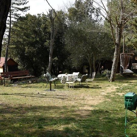 شقة Mdq - Azienda Agricola Castiglione dʼOrcia المظهر الخارجي الصورة